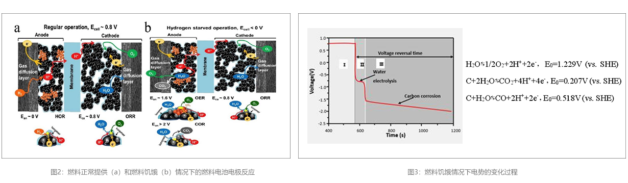 官网详情图模板2.3.jpg